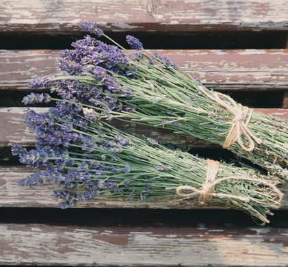 Lavender Essential Oil