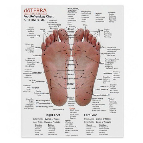 Mini Foot and Hand Reflexology Chart & Oil Use Guide Overall Wellness