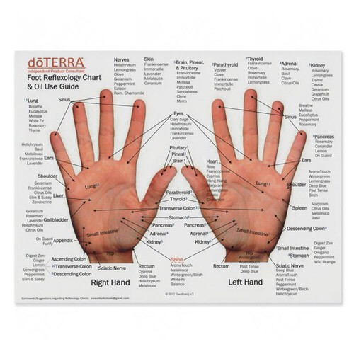 Hand Reflexology Chart