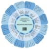 Emotions & Essential Oils Wheel
